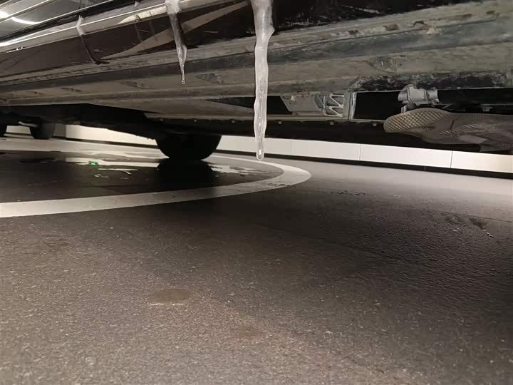 Hongqi HQ9 Hybrid 2024 2024款 2.0T 四驱商务版