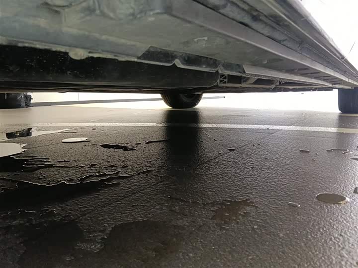 Hongqi HQ9 Hybrid 2024 2024款 2.0T 四驱商务版