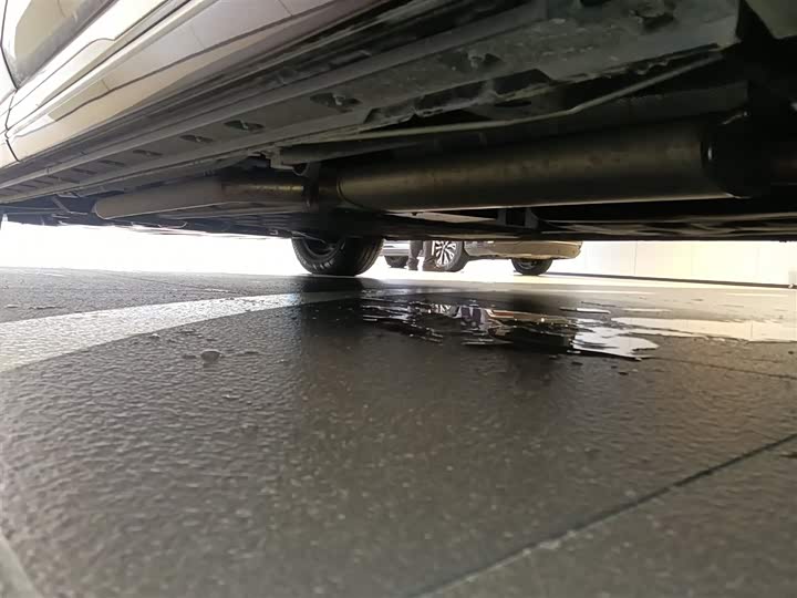 Hongqi HQ9 Hybrid 2024 2024款 2.0T 四驱商务版