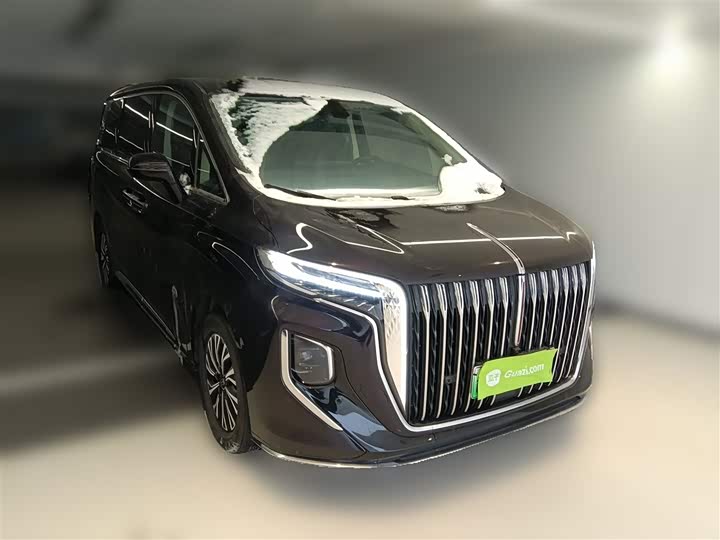 Hongqi HQ9 Hybrid 2024 2024款 2.0T 四驱商务版