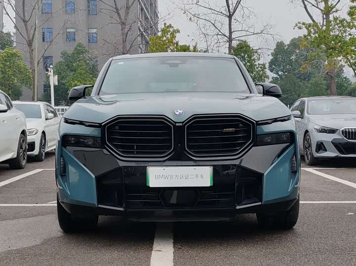 BMW XM 2023 2023款 基本型