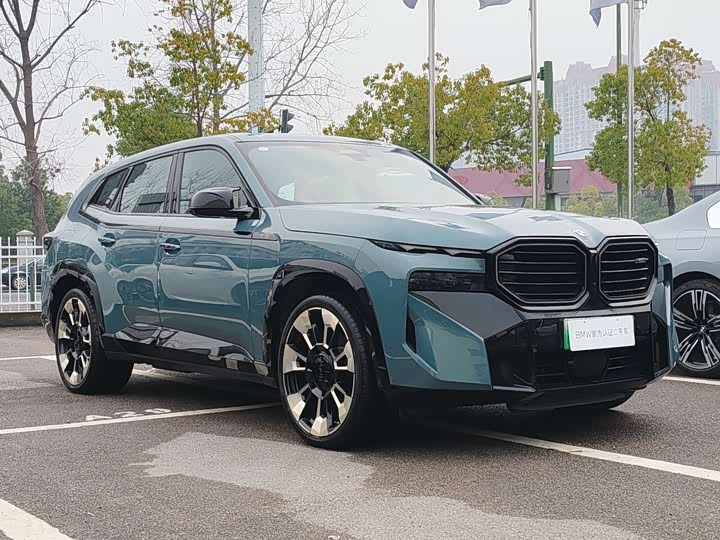 BMW XM 2023 2023款 基本型