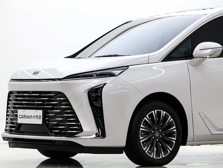 Buick GL8 ES 2025 2025款 陆尊 先享版