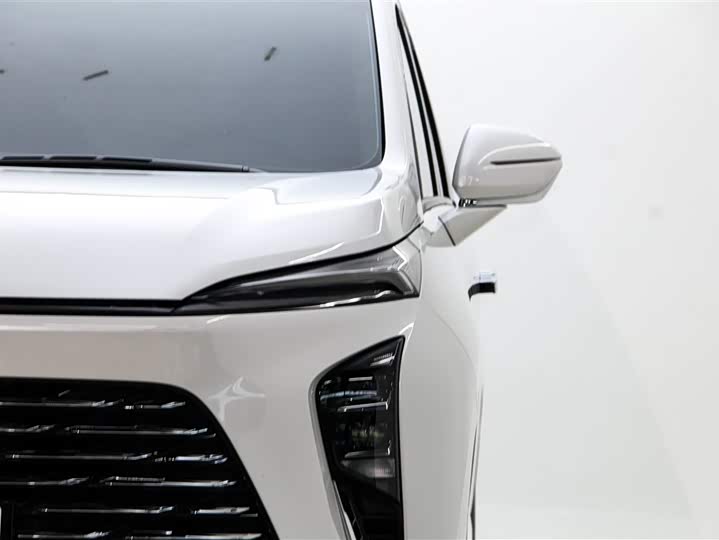 Buick GL8 ES 2025 2025款 陆尊 先享版