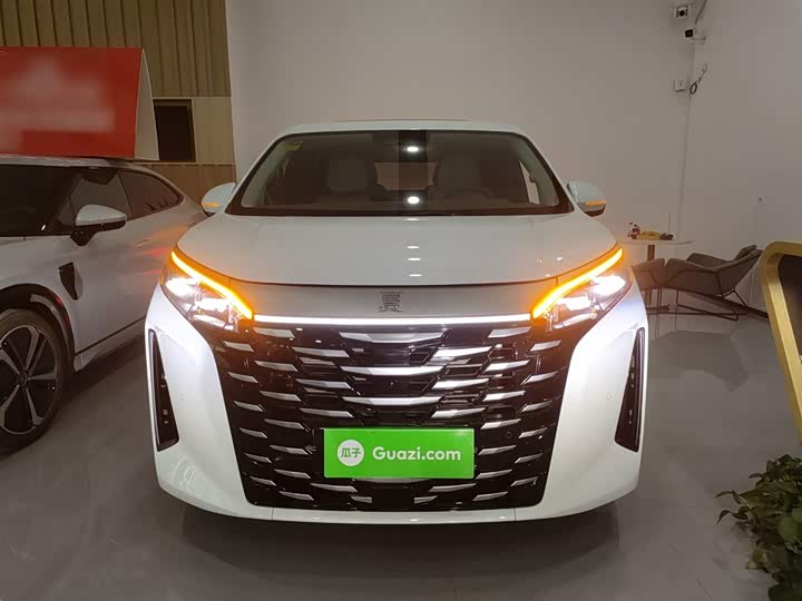 BYD Xia 2025 2025款 DM-i 1.5T 180km 卓越型