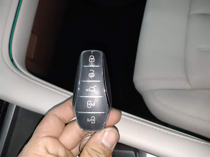 BYD Xia 2025 2025款 DM-i 1.5T 180km 卓越型