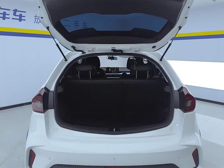 Geely Geometry EX3 2021 2021款 坚强牛牛