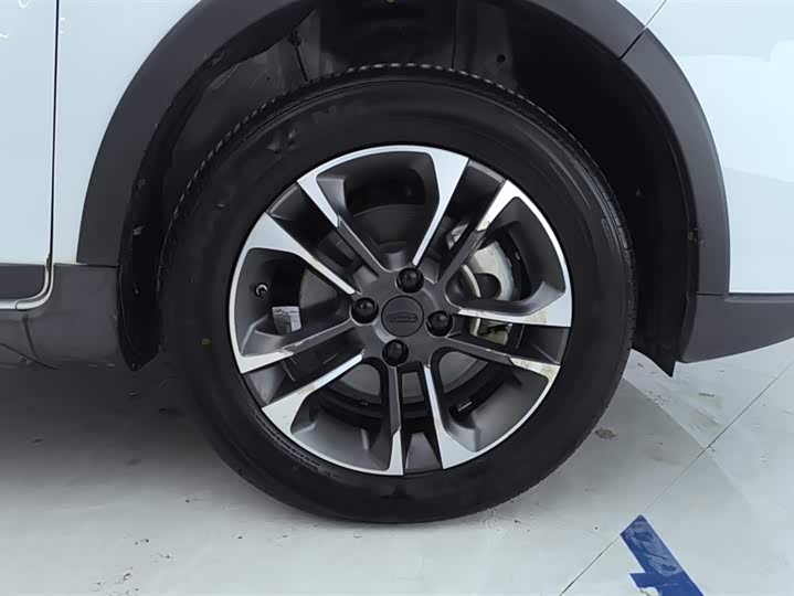 Geely Geometry EX3 2021 2021款 坚强牛牛