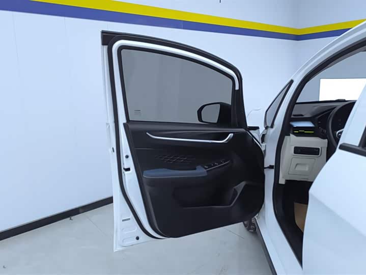 Geely Geometry EX3 2021 2021款 坚强牛牛