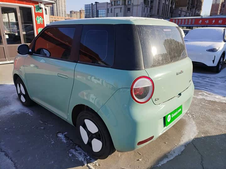 Changan Qiyuan (Nevo) Lumin 2025 2025款 205km 香沁款