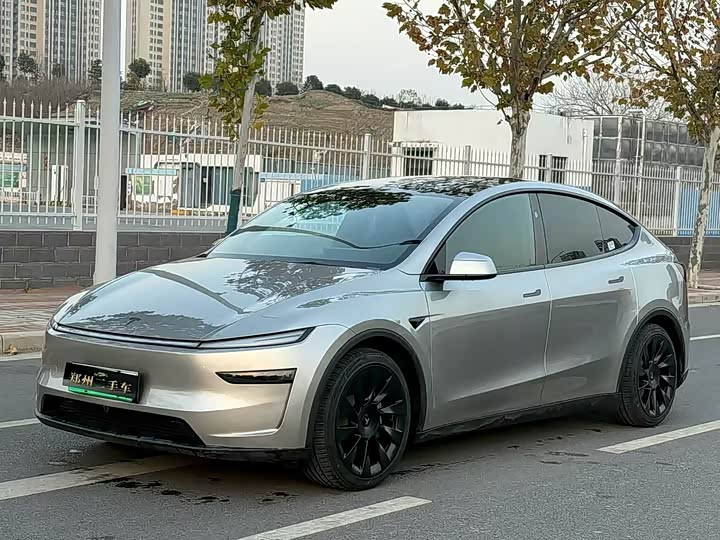 2025 Tesla Model Y