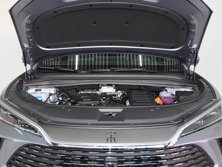 BYD Song L DM-i Hybrid 2026 2026款 200KM超越型