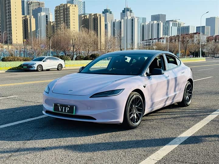 Tesla Model 3 2023 2023款 后轮驱动版