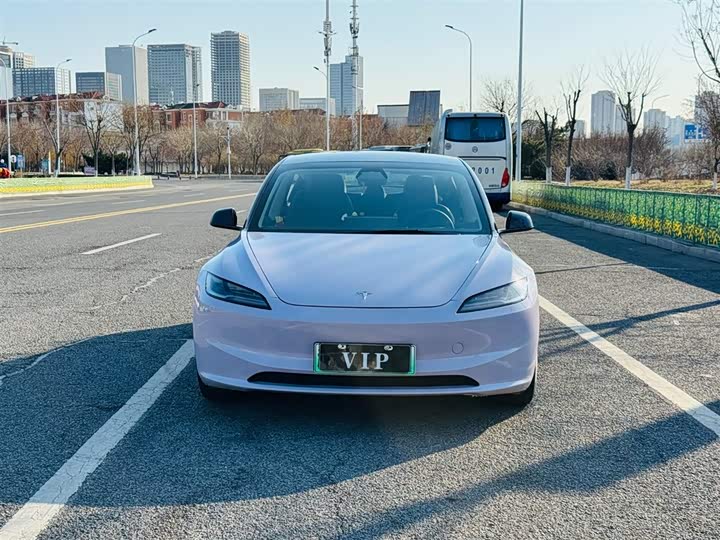 Tesla Model 3 2023 2023款 后轮驱动版