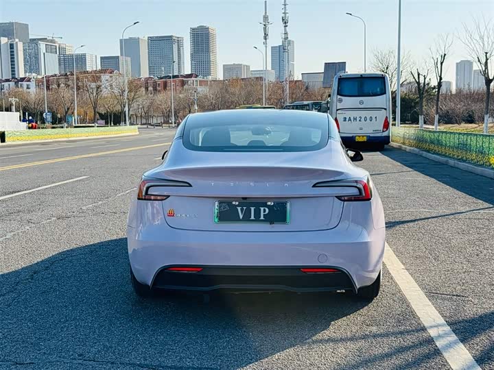 Tesla Model 3 2023 2023款 后轮驱动版