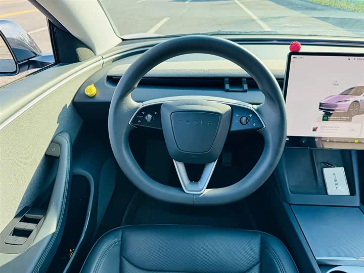 Tesla Model 3 2023 2023款 后轮驱动版