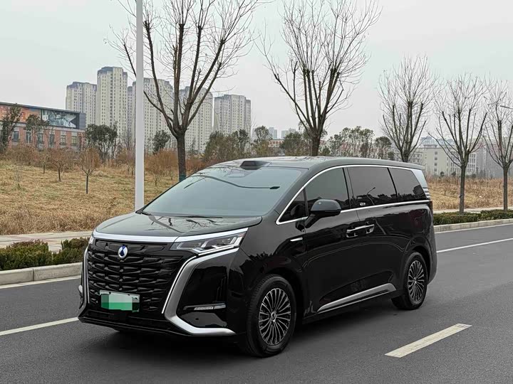 Denza D9 2025 2025款 DM-i 智驾版 1020 四驱尊贵型