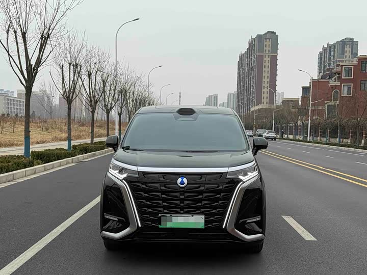 Denza D9 2025 2025款 DM-i 智驾版 1020 四驱尊贵型