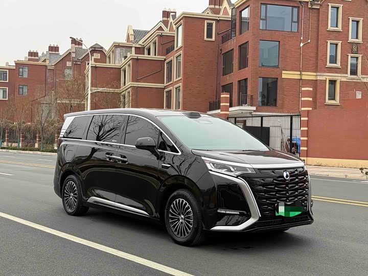 Denza D9 2025 2025款 DM-i 智驾版 1020 四驱尊贵型