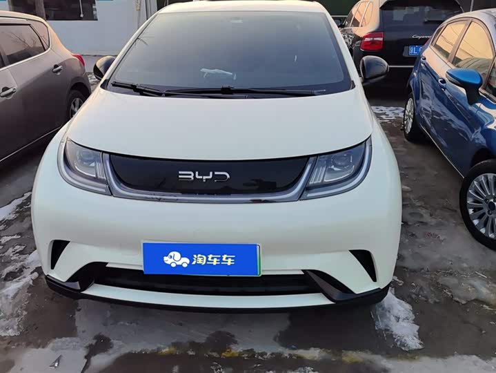 BYD Dolphin 2025 2025款 420km 活力版
