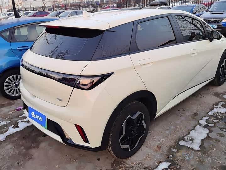 BYD Dolphin 2025 2025款 420km 活力版