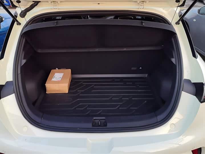 BYD Dolphin 2025 2025款 420km 活力版