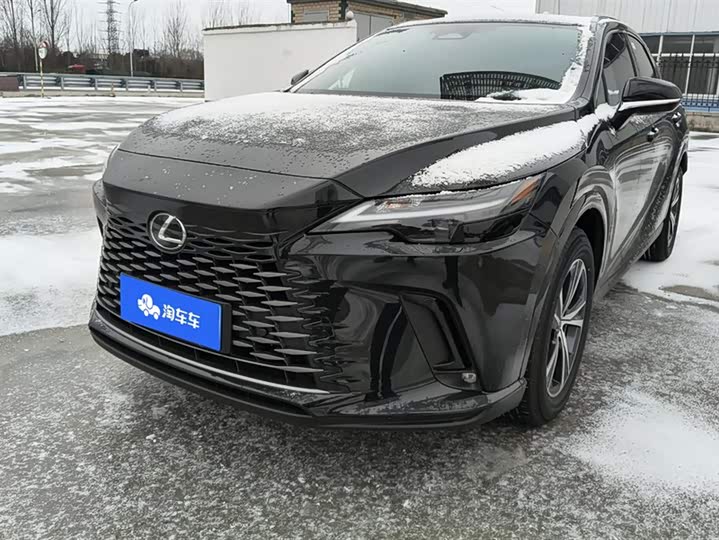 Lexus RX 2025 2025款 350h 两驱舒享版