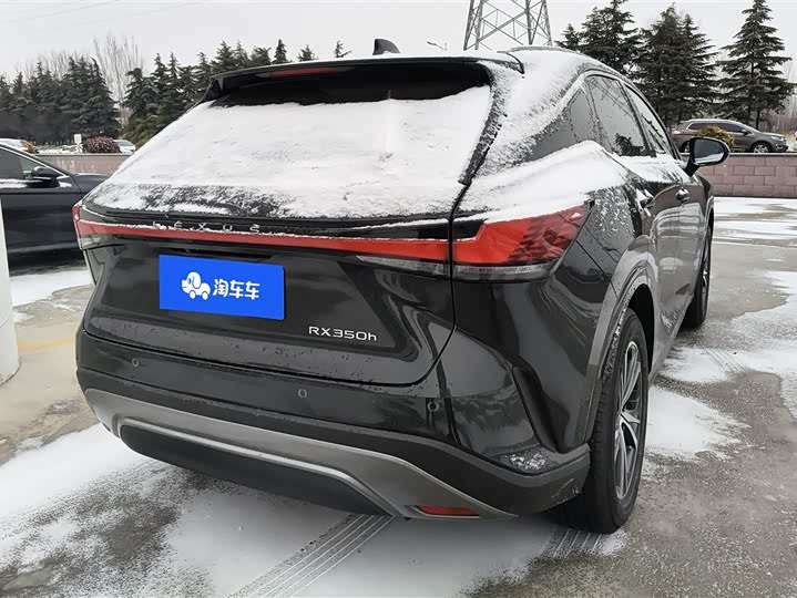 Lexus RX 2025 2025款 350h 两驱舒享版