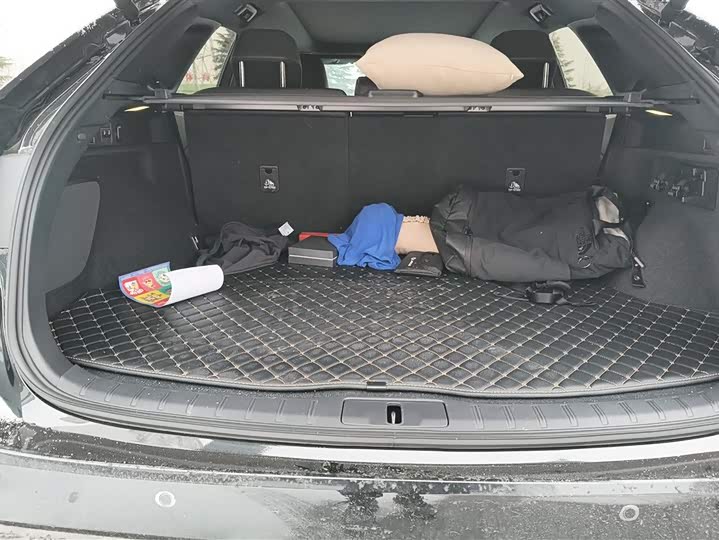 Lexus RX 2025 2025款 350h 两驱舒享版