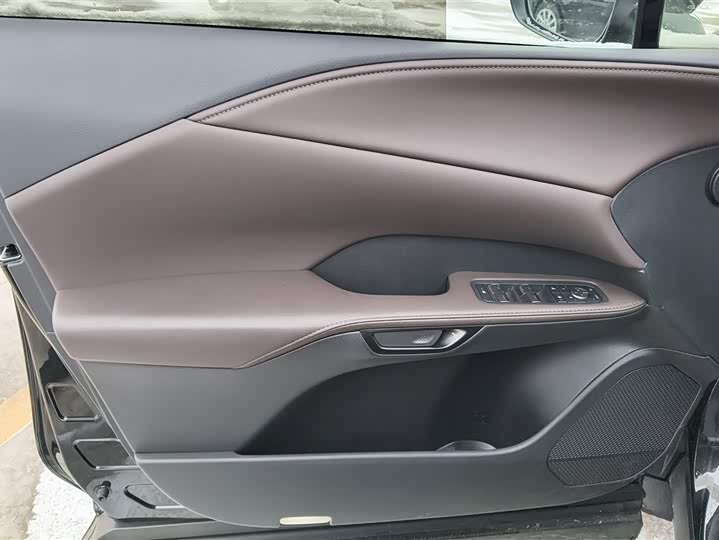 Lexus RX 2025 2025款 350h 两驱舒享版