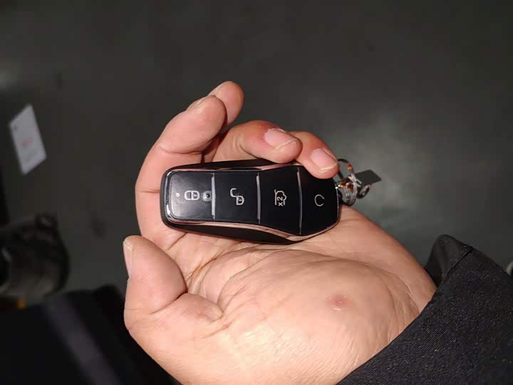 BYD Song Pro Hybrid 2025 2025款 第二代 智驾版 DM-i 115KM超越型