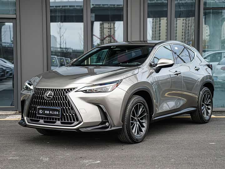 2025 Lexus NX