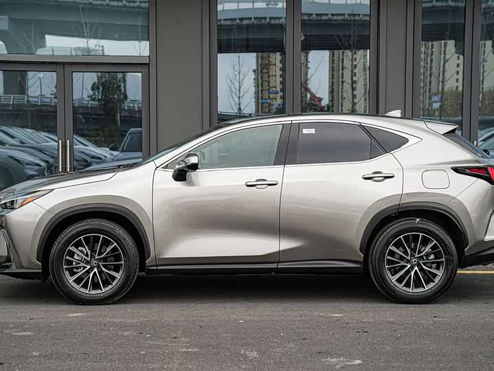 Lexus NX 2025 2025款 200 FUN