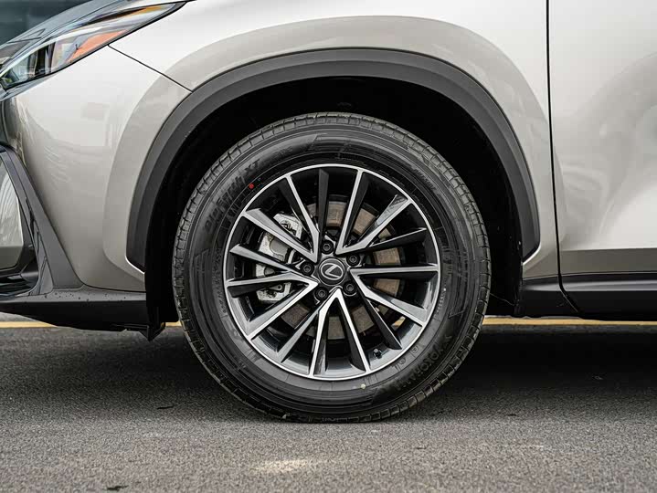 Lexus NX 2025 2025款 200 FUN