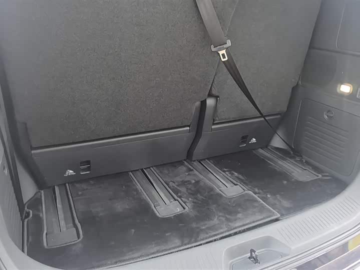 Hongqi HQ9 Hybrid 2024 2024款 2.0T 四驱豪华版