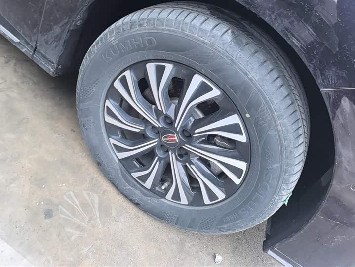 Hongqi HQ9 Hybrid 2024 2024款 2.0T 四驱豪华版