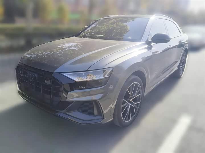 Audi Q8 2023 2023款 55 TFSI 尊享动感型