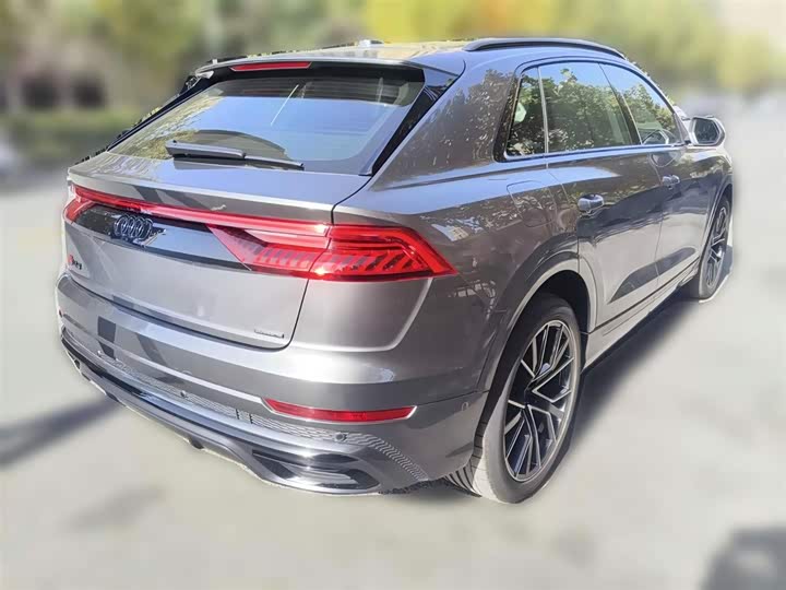 Audi Q8 2023 2023款 55 TFSI 尊享动感型