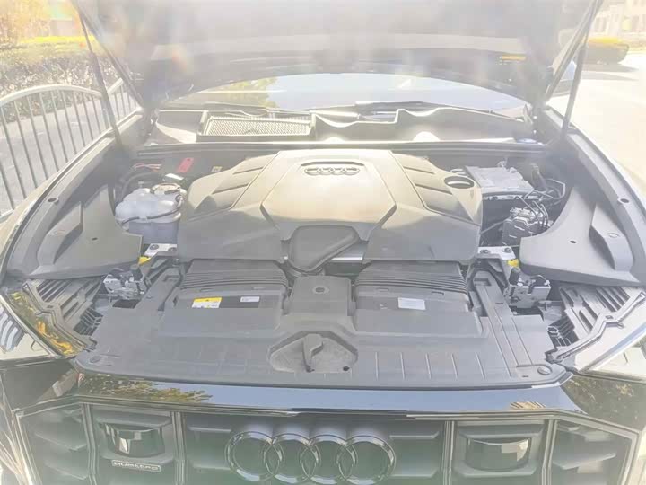 Audi Q8 2023 2023款 55 TFSI 尊享动感型