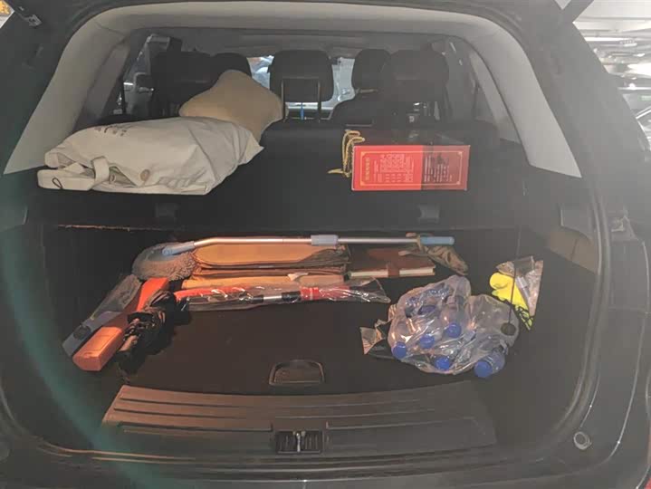 Roewe RX5 Hybrid 2021 2021款 ePLUS 国潮荣麟豪华版