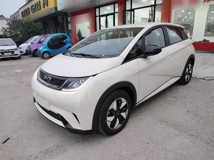 BYD Dolphin 2025 2025款 420km 自由版