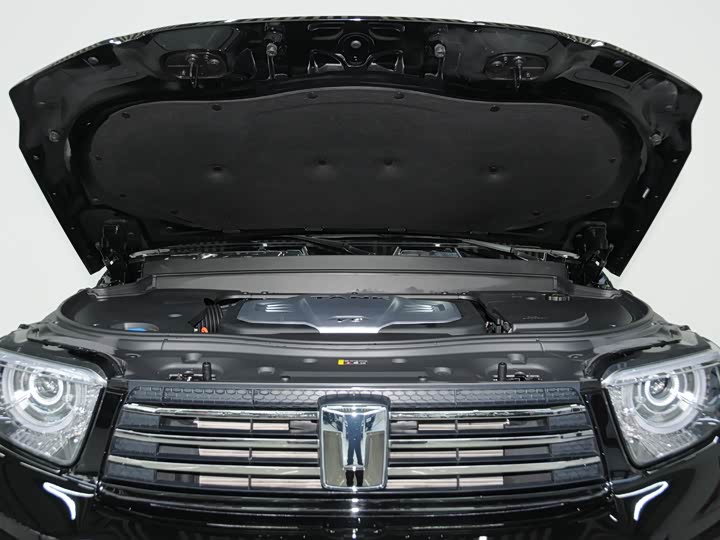 Tank 700 Hybrid 2024 2024款 Hi4-T 极境版