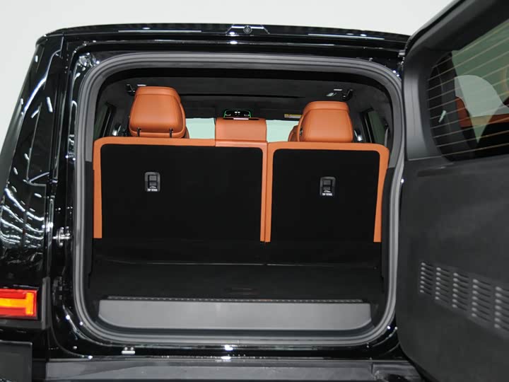 Tank 700 Hybrid 2024 2024款 Hi4-T 极境版