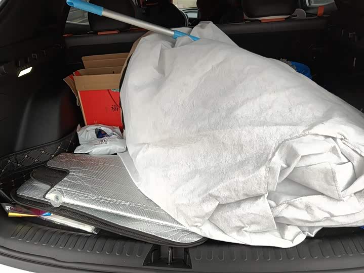 Geely Atlas 2023 2023款 博越COOL 1.5TD 智联+