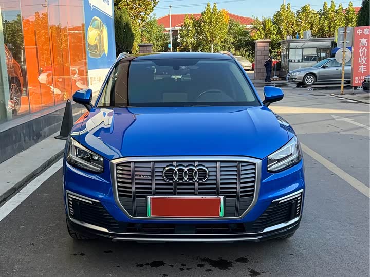 Audi Q2L e-tron 2019 2019款 Q2L e-tron 纯电智享型