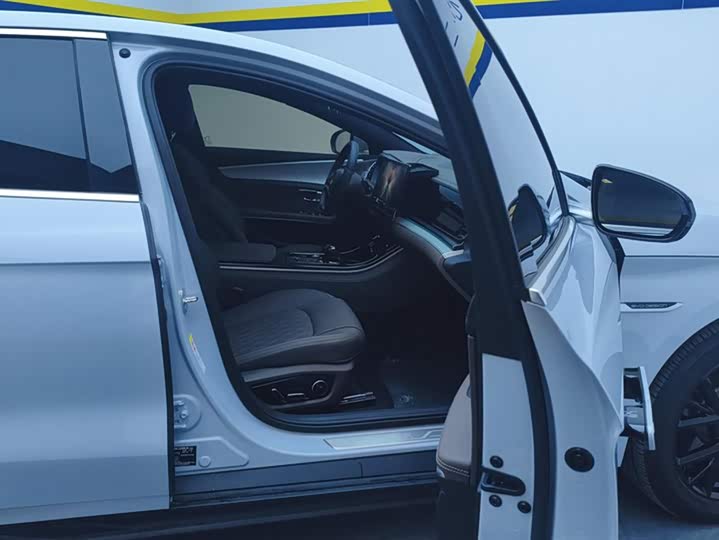 BYD Han 2025 2025款 DM-i 125KM精英型