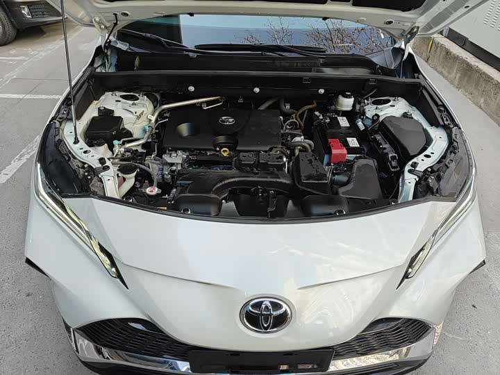 Toyota Venza 2024 2024款 2.0L CVT两驱尊贵版