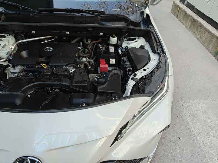 Toyota Venza 2024 2024款 2.0L CVT两驱尊贵版