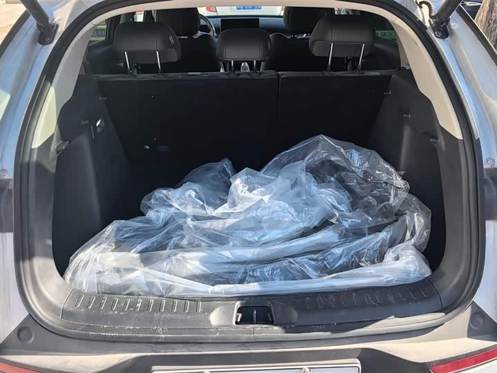 BYD Yuan Plus 2025 2025款 智驾版 510KM 超越型