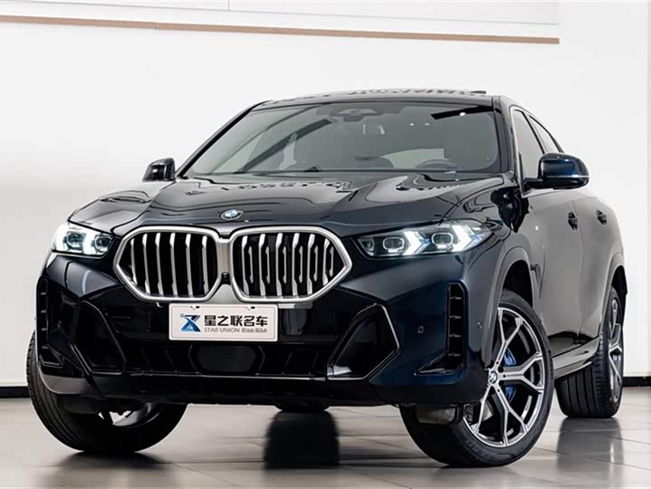 BMW X6 2023 2023款 xDrive40i 尊享型 M运动套装